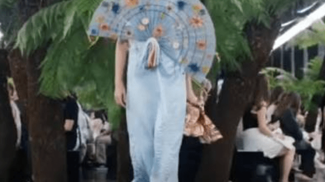 Dior's Fall / Winter 2026 Runway Show