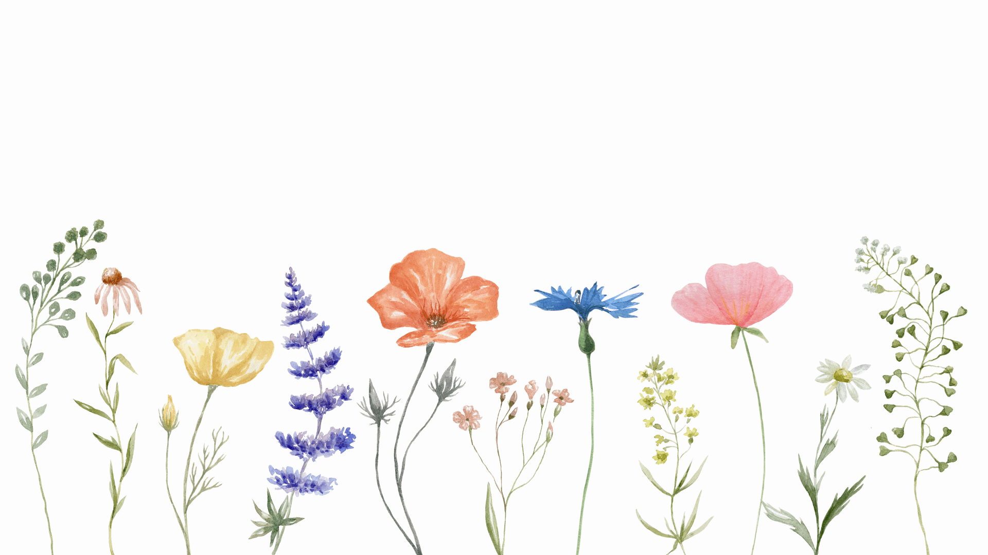 Behind the Scenes: A Day at the New Collection Photoshoot